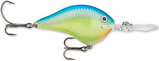 Picture of Rapala DT® (Dives-To)