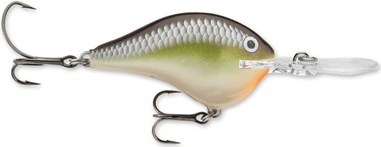 Picture of Rapala DT® (Dives-To)