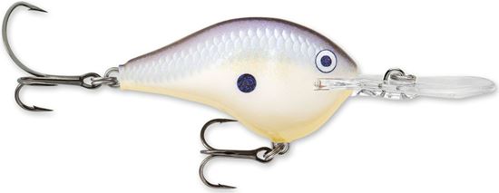 Picture of Rapala DT® (Dives-To)