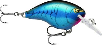 Picture of Rapala DT® (Dives-To)