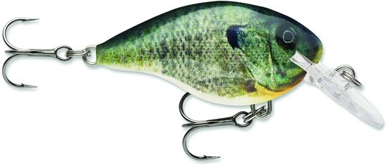 Picture of Rapala DT® (Dives-To)