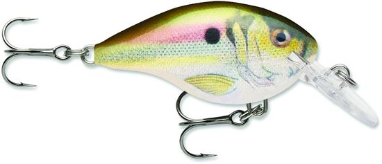 Picture of Rapala DT® (Dives-To)