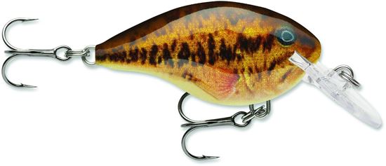 Picture of Rapala DT® (Dives-To)