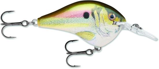 Picture of Rapala DT® (Dives-To)