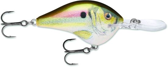 Picture of Rapala DT® (Dives-To)