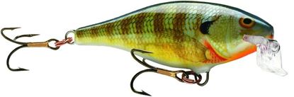 Picture of Rapala Shallow Shad Rap®