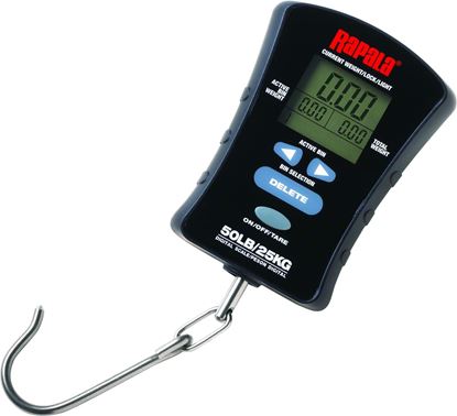 Picture of Rapala Scale