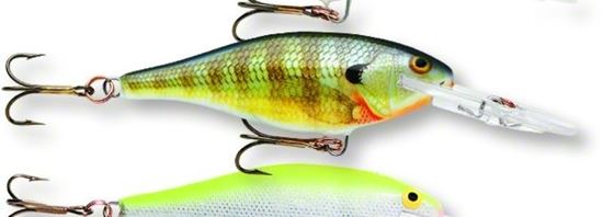 Picture of Rapala The Shad Rap® 