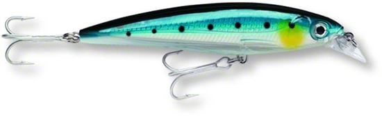 Picture of Rapala X-Rap® Saltwater