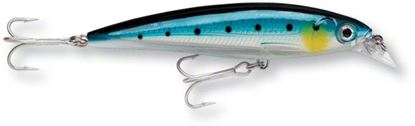 Picture of Rapala X-Rap® Saltwater