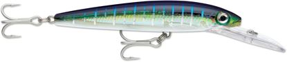 Picture of Rapala Husky Magnum®