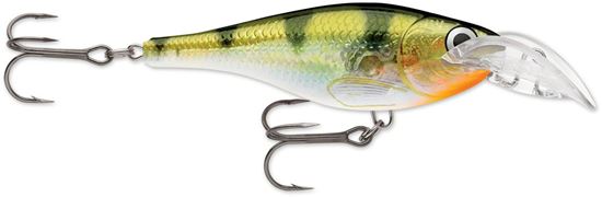 Picture of Rapala Scatter Rap® Glass Shad