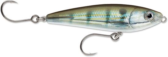 Picture of Rapala X-Rap® Saltwater SubWalk