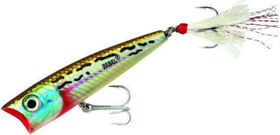 Picture of Rebel Saltwater Super Pop-R