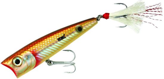 Picture of Rebel Saltwater Super Pop-R