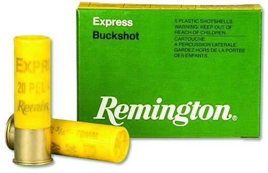 Picture of Remington 20B3 Express Shotgun Ammo 20 GA, 2-3/4 in, 3B, 20 Pellets, 1220 fps, 5 Rounds, Boxed