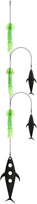 Picture of Fish Razr FR924 Deadly DaiZy Green-