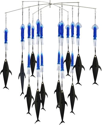 Picture of Fish Razr FR916 Blue squid and