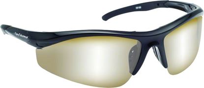 Picture of Spector Sunglasses