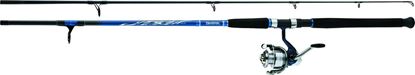Picture of Daiwa D-Wave Saltwater Spinning Combos