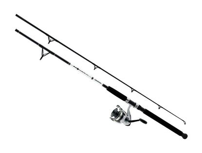 Picture of Daiwa D-Wave Saltwater Spinning Combos