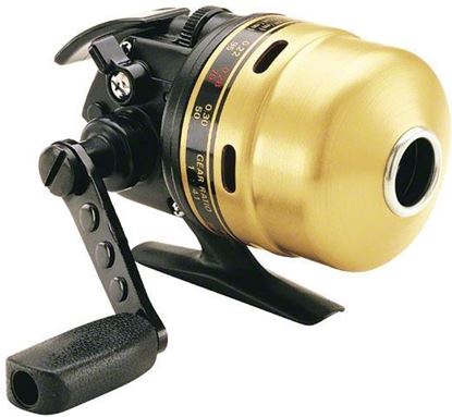 Picture of Daiwa Goldcast®