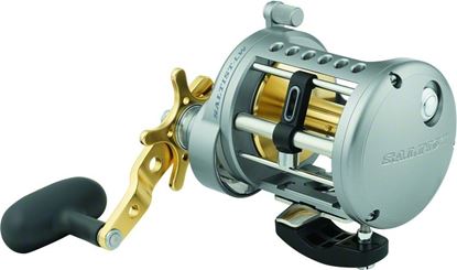 Picture of Daiwa Saltist Levelwind Reels