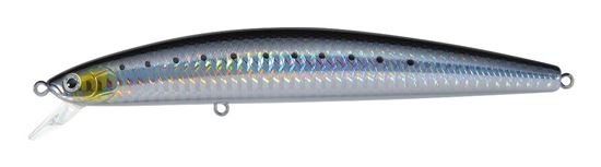 Picture of Daiwa Sardine