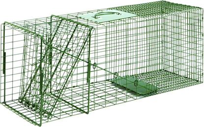 Picture of Standard & Heavy Duty Duke Cage Traps