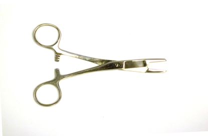 Picture of Eagle Claw Surgical Pliers With Scissors