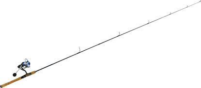 Picture of Eagle Claw Diamond Series Graphite Rod
