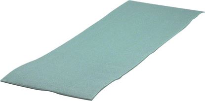 Picture of Coleman 2000016963 Camp Pad RestEasy Green Only C006