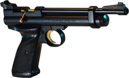 Picture of Crosman Co2 Single Shot Bolt Action Pistol