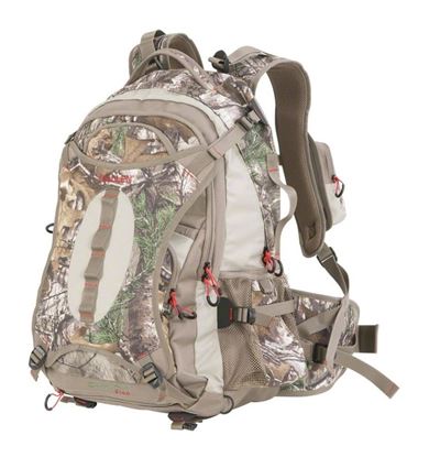 Picture of Canyon Daypack