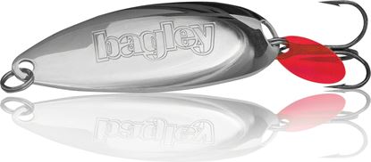 Picture of Bagley Brite Casting Spoon