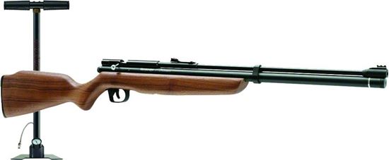 Picture of Benjamin Discovery Air Rifle