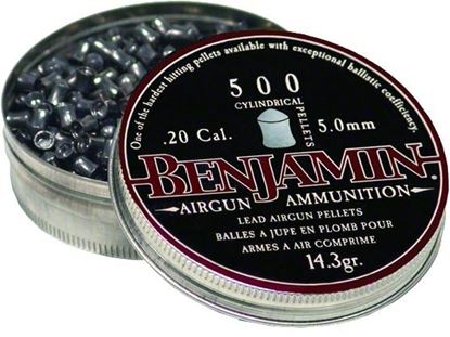Picture of Benjamin Cylindrical Pellets