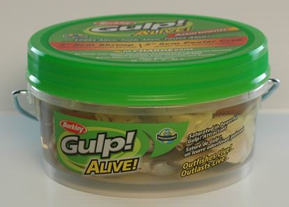 Picture of Gulp!® Alive! Shrimp