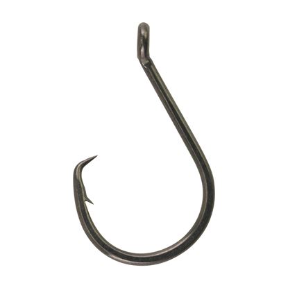 Picture of Berkley Fusion19 Circle Hook