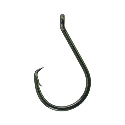 Picture of Berkley Fusion19 Circle Hook