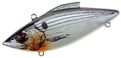 Picture of Bill Lewis Shad/Shiner Lipless Crankbait