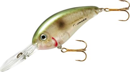Picture of Bomber BD6FPSH Fat Free Shad Jr.