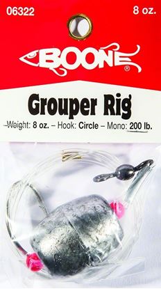 Picture of Grouper Rigs