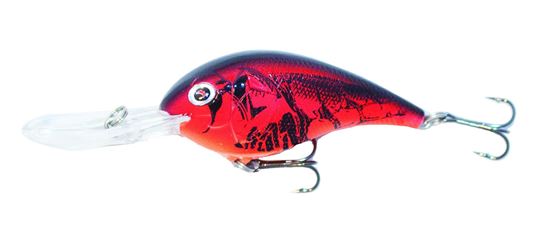 Picture of Boyd Duckett Squarebill Crankbait