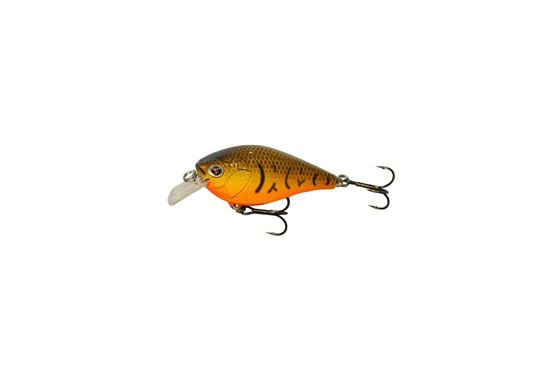 Picture of Boyd Duckett Squarebill Crankbait