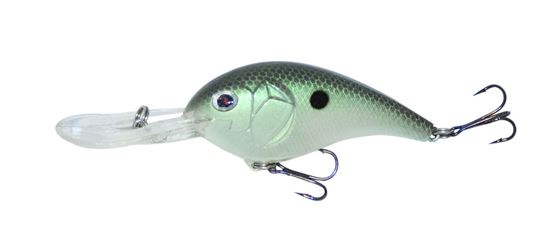 Picture of Boyd Duckett Squarebill Crankbait