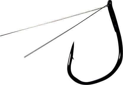 Picture of Hayabusa WRM962WG Special Wacky Hook