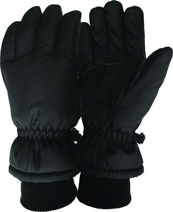 Picture of Jacob Ash Talson Ski Gloves