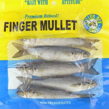 Picture of Killer Bee 223109 Premium Brined Bait Finger Mullet 6Pk (635615)