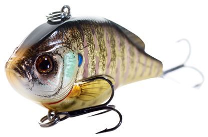 Picture of LiveTarget Sunfish Bluegill Lipless Crankbait